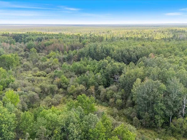 Pine Island Rd, Big Falls, MN 56627