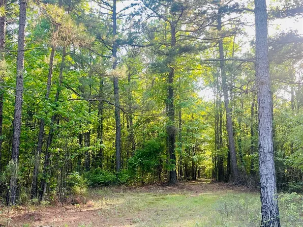 (undisclosed Address), Doddridge, AR 71834