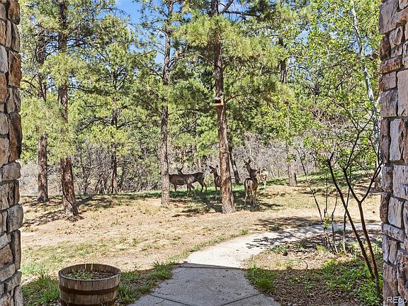 4th image of 9676 S Perry Park Road