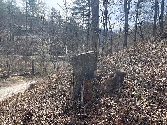 3rd image of 0 Laurel Falls Rd Lot 16