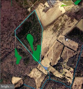 Bristersburg, Catlett, VA, 20119