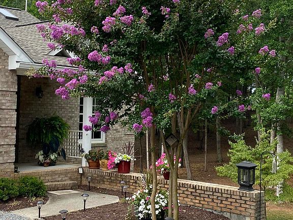 4th image of 210 Shillelagh Ct