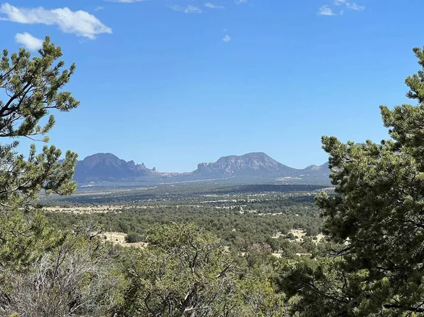 Mountain View Ranch Rd, Pie Town, NM 87827