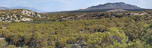 5th image of 0 E Palm Canyon Dr #92561