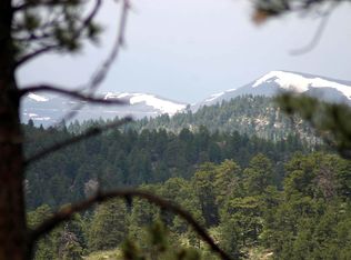 28176 Mariposa Rd, Evergreen, CO 80439