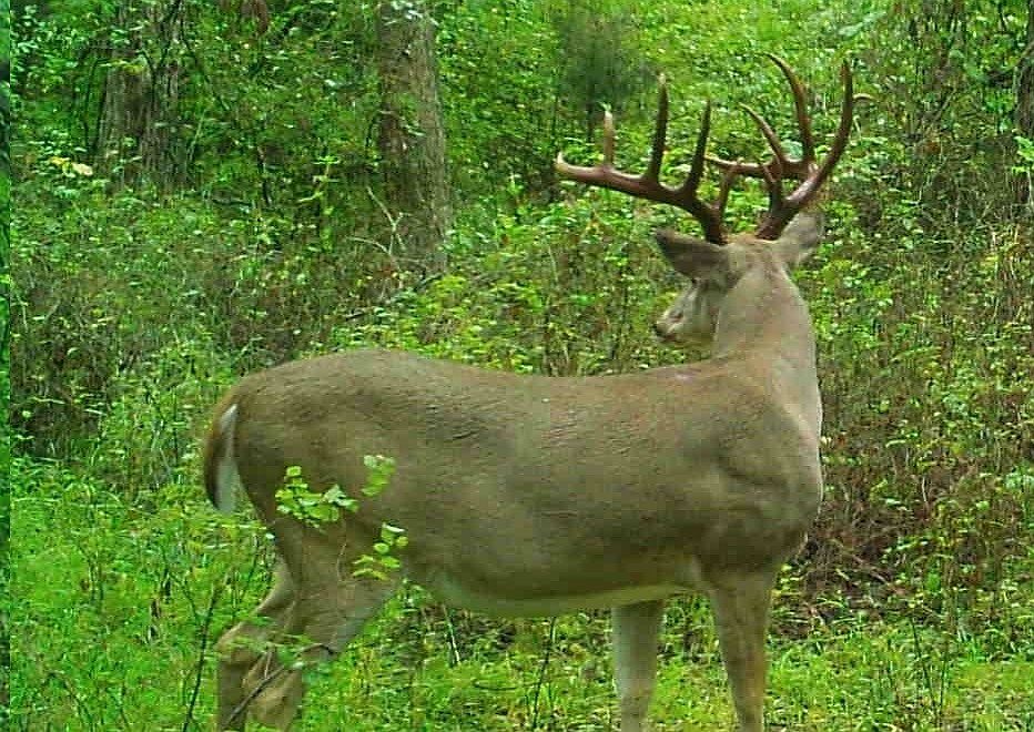 0 1310th Rd, Wewoka, OK 74884 MLS 1065856 Zillow