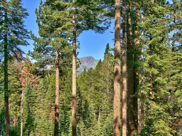 1428 Skyline Dr, South Lake Tahoe, CA 96150