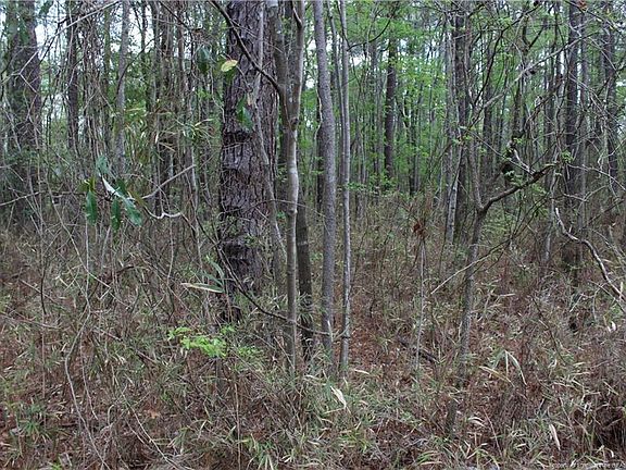 4th image of 689 Willow Ln