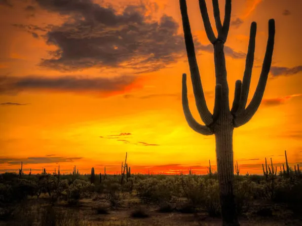 227 W Patton Rd. & 227th Ave. -- #-, Wittmann, AZ 85361