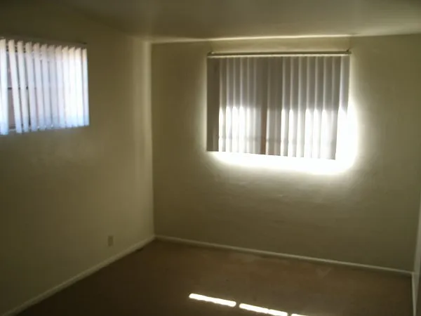 824 N Richey Blvd — Photo 5