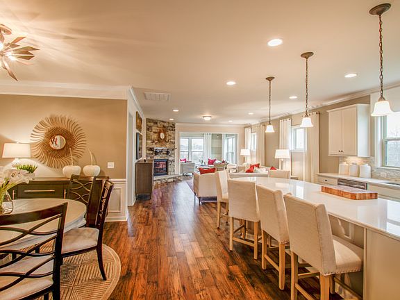 Model Representation