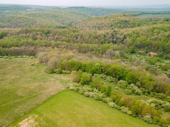 13301A N Preston Hwy, Bruceton Mills, WV 26525