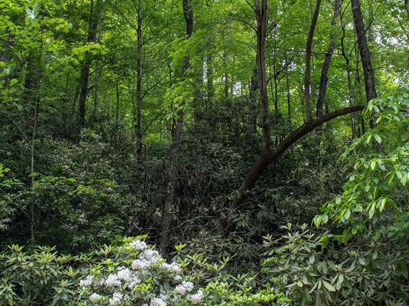 Fox Den Rd #57&59, Brevard, NC 28712