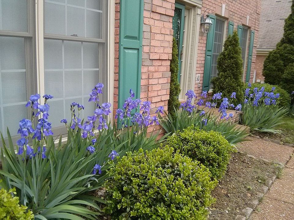 1st image of 5726 Chadwick Ln