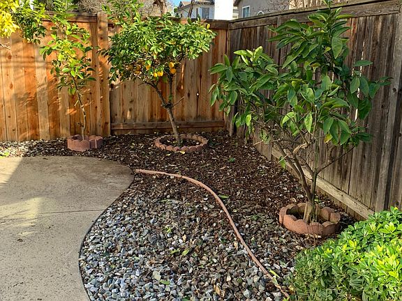 2nd image of 5354 Delta Dr