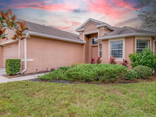 10924 Observatory Way, Tampa, FL 33647