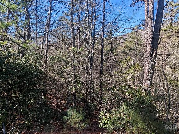 2nd image of 69 Bear Wallow Dr