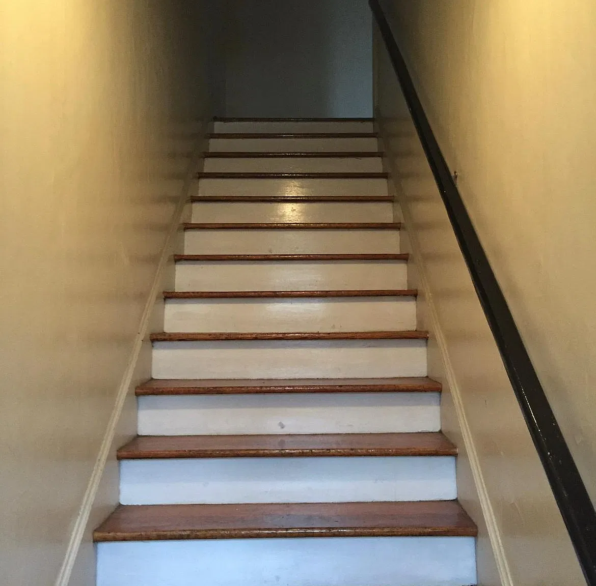 2 bed, 600 sqft, $800 — Photo 3