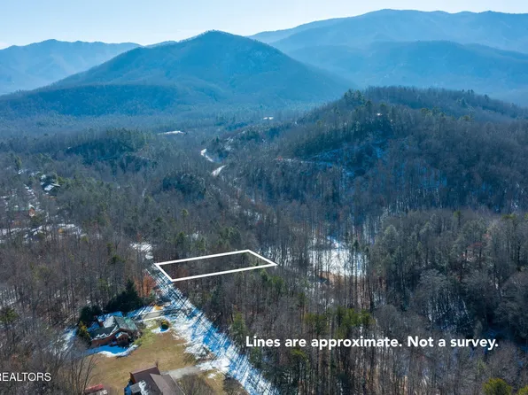 0 Ardell Way Lot 8, Cosby, TN 37722