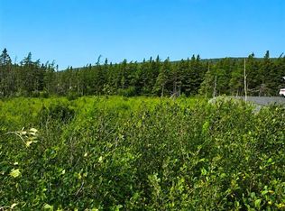 168 Hodgewater Line, South River, NL A0A3W0