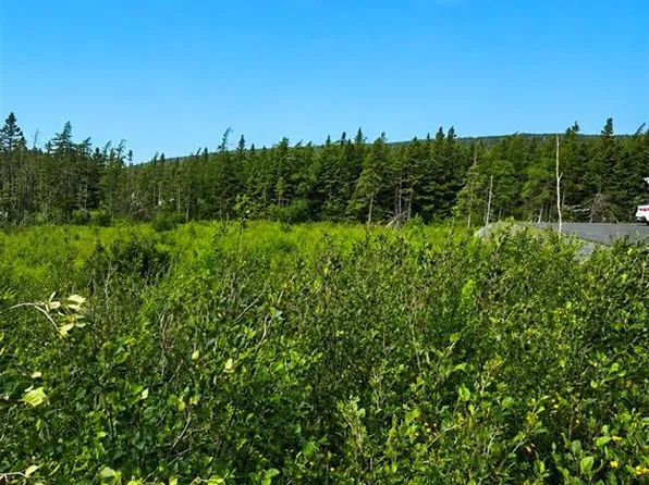 168 Hodgewater Line, South River, NL A0A3W0