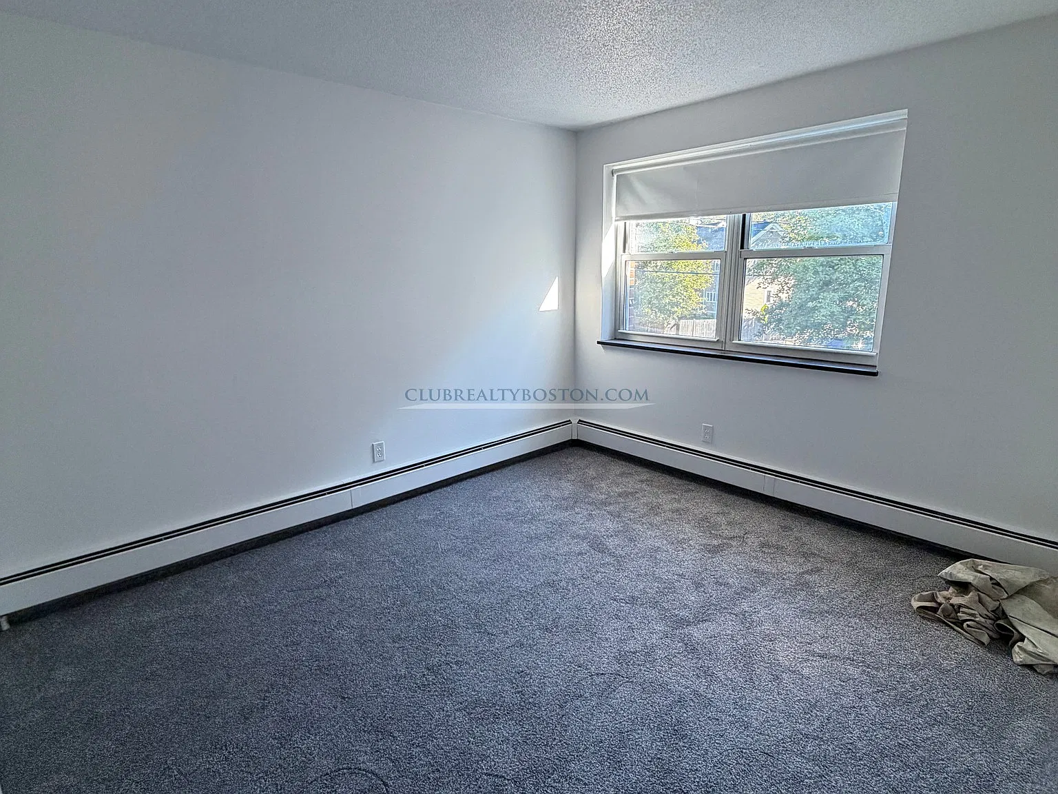 2 bed, 1.0 bath, $2,650 — Photo 3