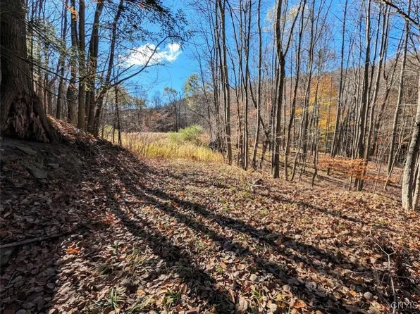 County Road 126, Greenwood, NY 14839