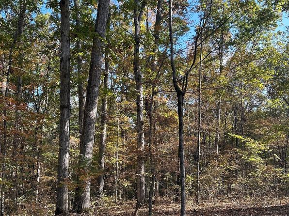 0 Dennis Creek Rd, Talbotton, GA 31827