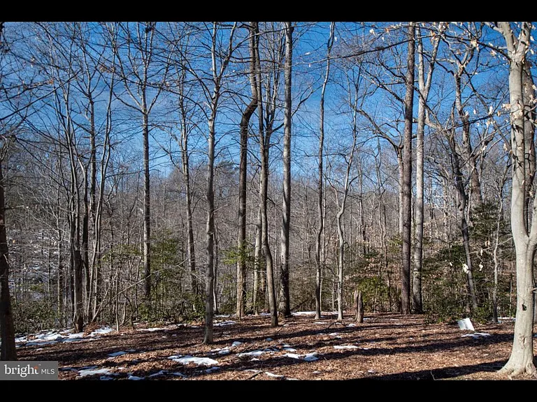 7824 Marconi Ct — Photo 18