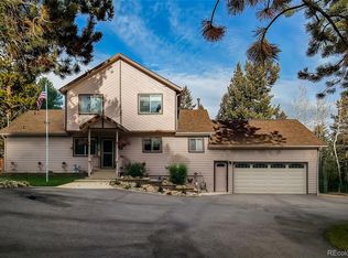 51 Bay Ln, Bailey, CO 80421