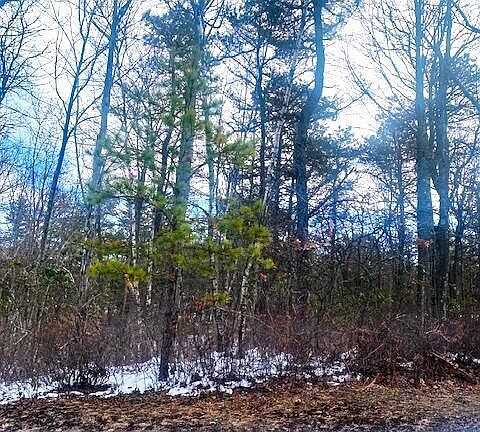 2nd image of 91 Pinecrest Dr