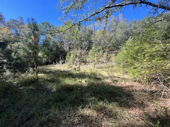 2922 Yancy Rd, Bonifay, FL 32425