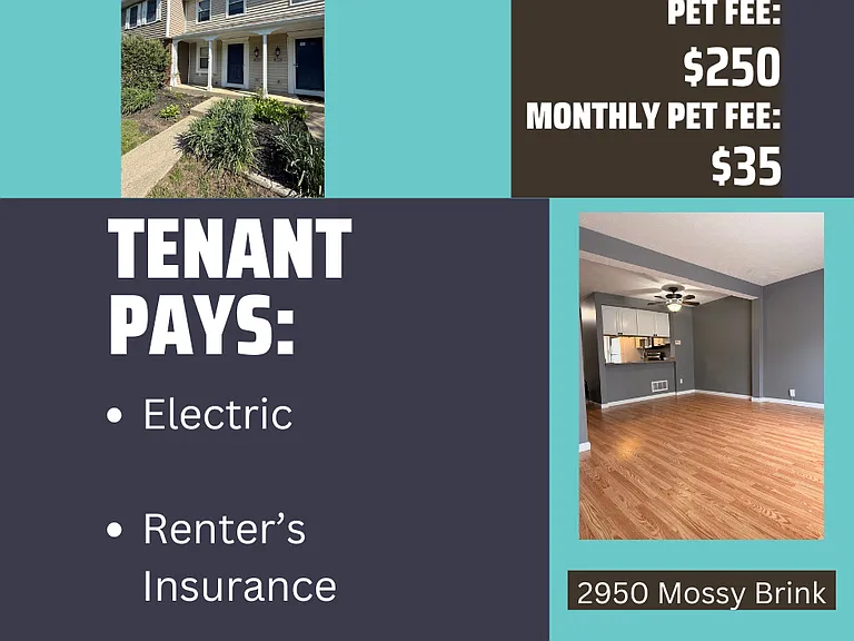 2950 Mossy Brink Ct #1 — Photo 2