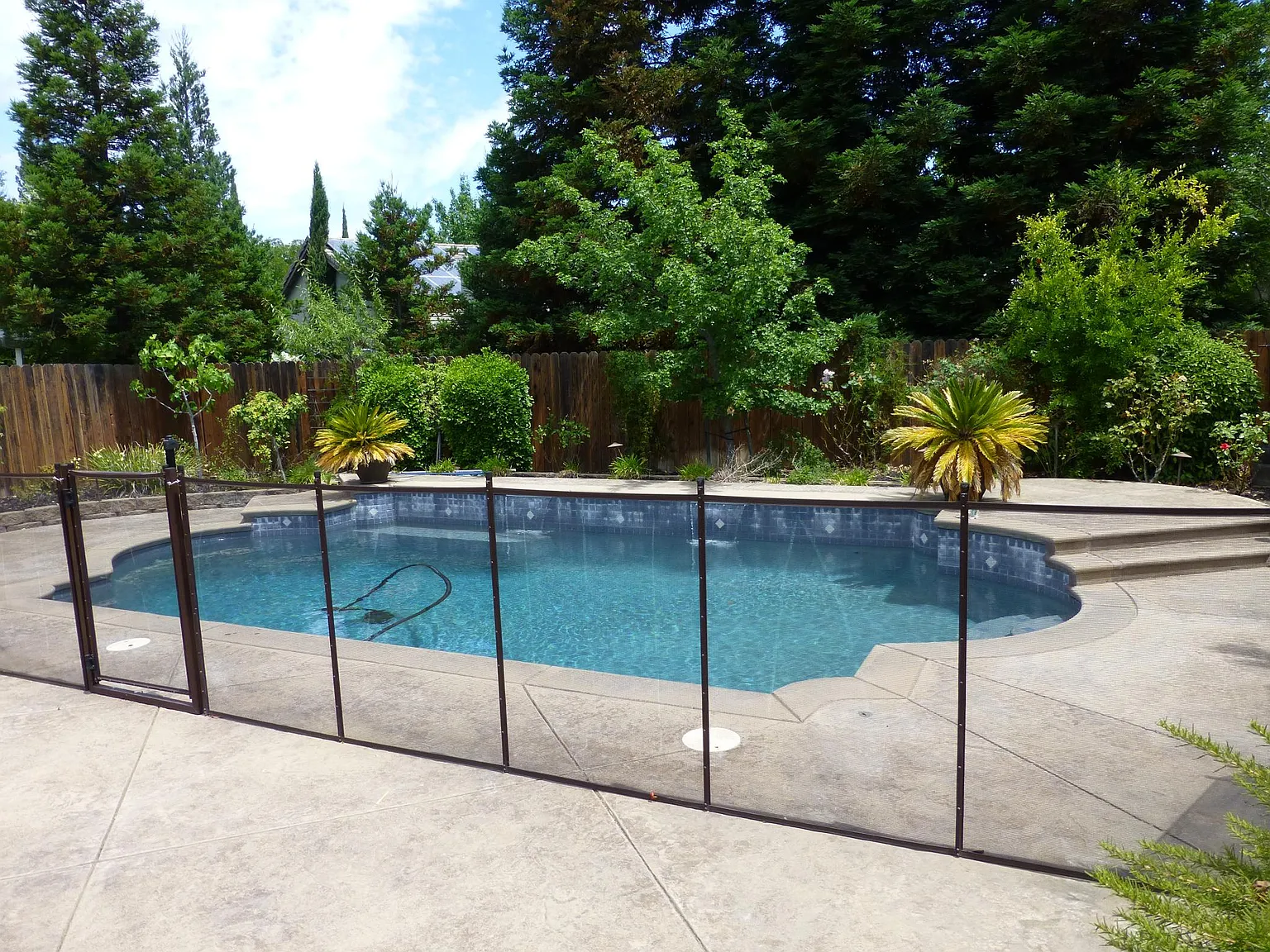 5 bed, 2553 sqft, $4,200 — Photo 3