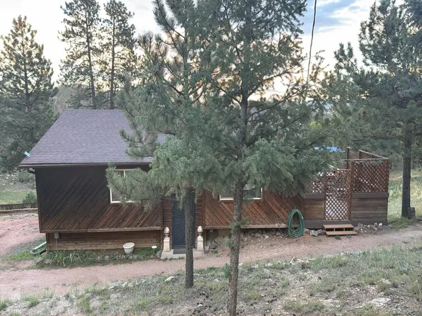 362 Raven Dr, Bailey, CO 80421