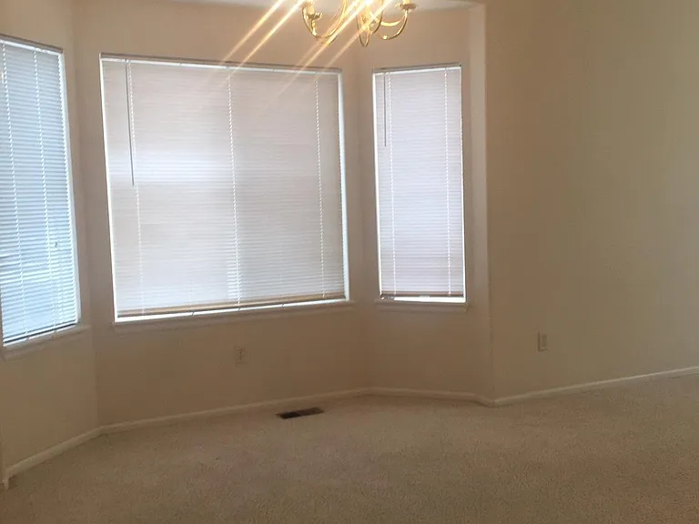 923 Grays Peak Dr — Photo 12