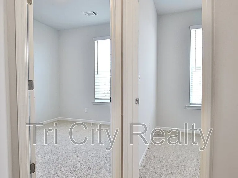 250 Cobalt Dr — Photo 46