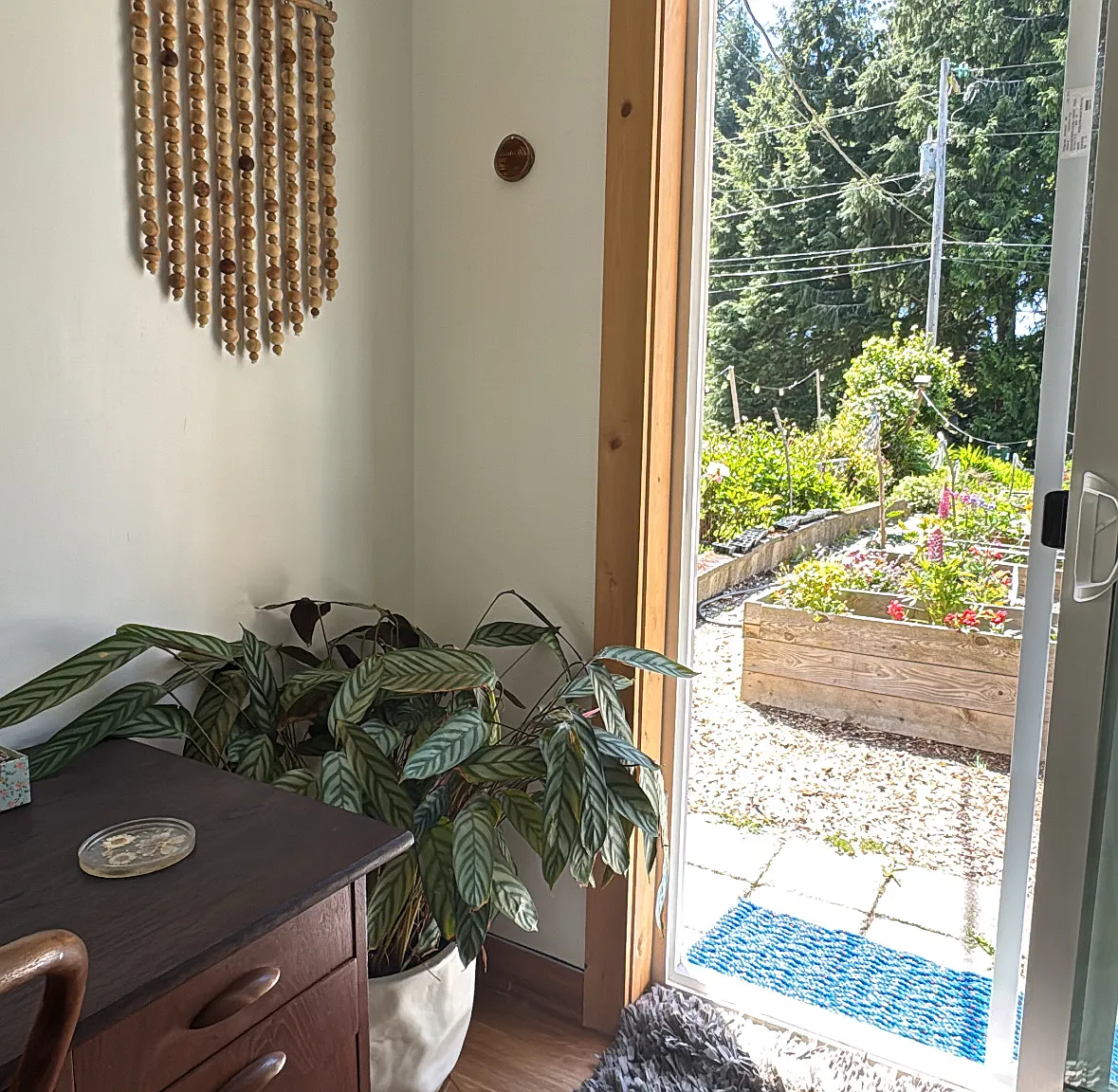 1 bed, 544 sqft, $1,100 — Photo 2