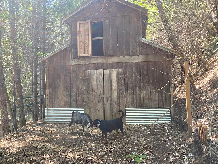 2135 Knowles Rd — Photo 38