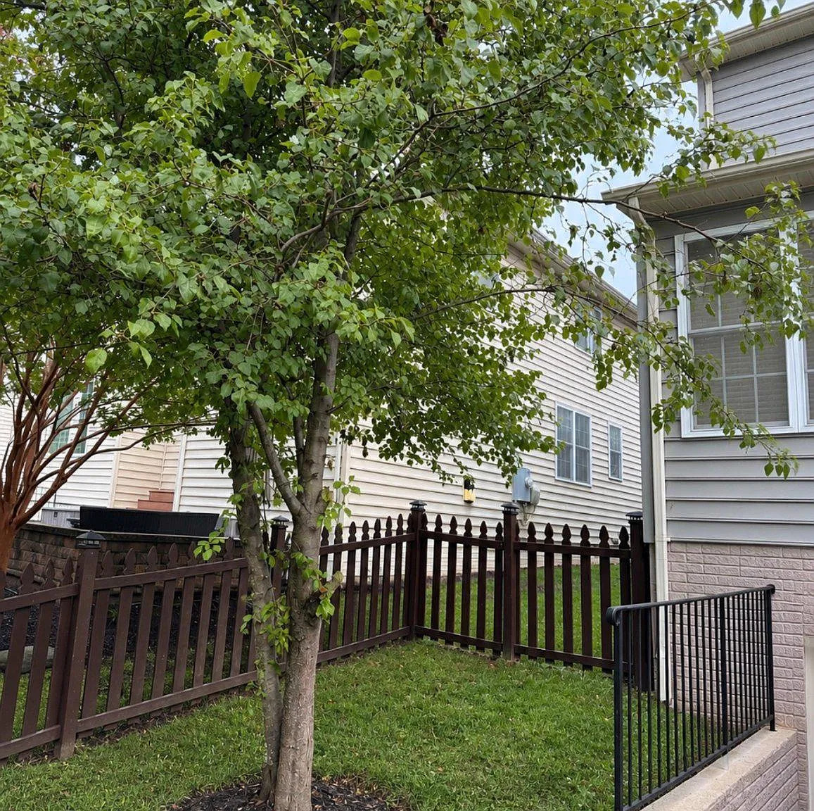 1 bed, 1.0 bath, 5200 sqft, $2,700 — Photo 1