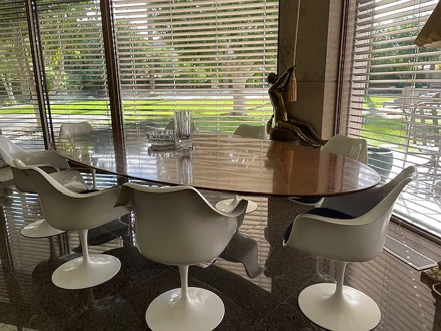 View to the yard -iconic original Saarinen table and 8 Saarinen chairs