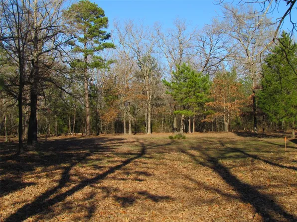 County Road 1605, Alba, TX 75410