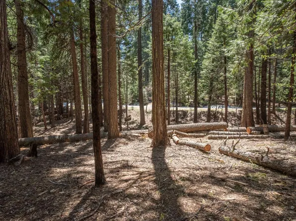 2619 Karock Rd, Arnold, CA 95223