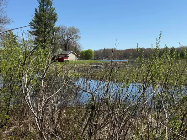 E Dennis Dr, Walkerville, MI 49459