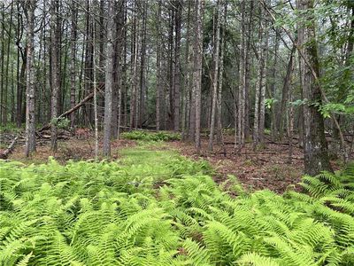 Lot 62.2 Lake View Drive, Highland Lake, NY, 12743