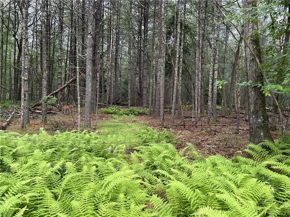 Lot 62.2 Lake View Drive, Call Listing Agent, NY 12743