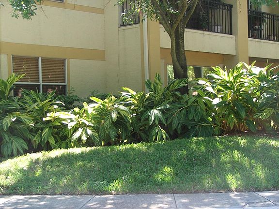 Great Landscaping