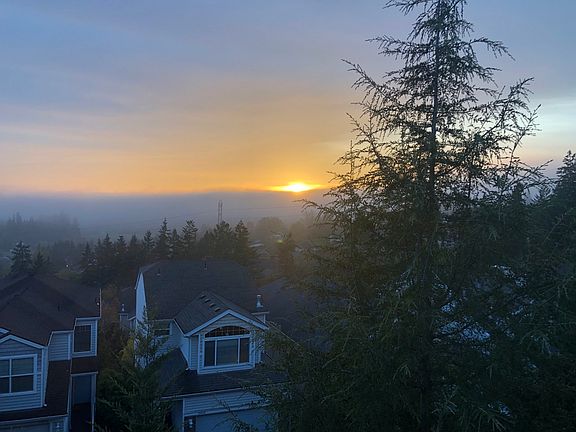 The views from the house