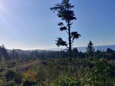 Stanley St, Depoe Bay, OR, 97341