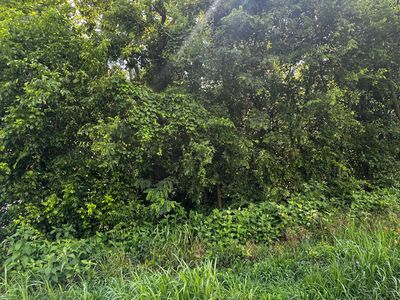 349 Hyatt Ln, Whitesburg, TN, 37891